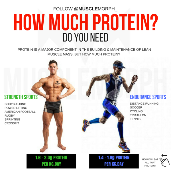 Meal Ideas to Meet Protein Requirements