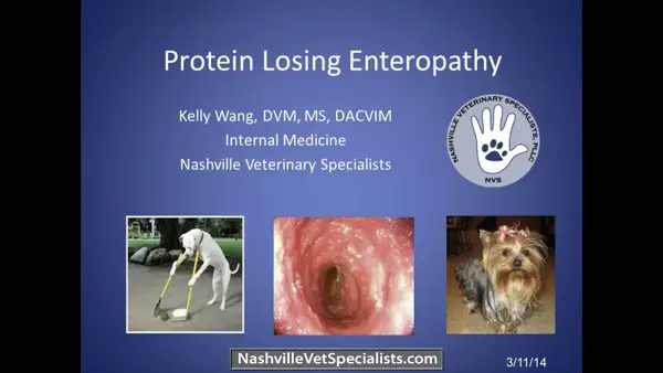 Prevention of Protein Loss Enteropathy