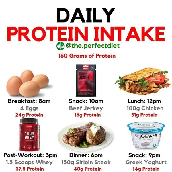Protein Intake for Different Lifestyles