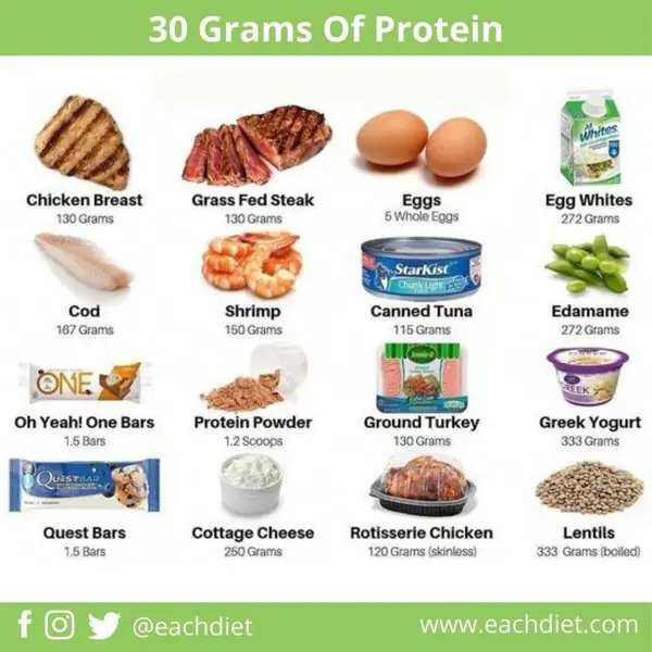 Protein Sources and Satiety