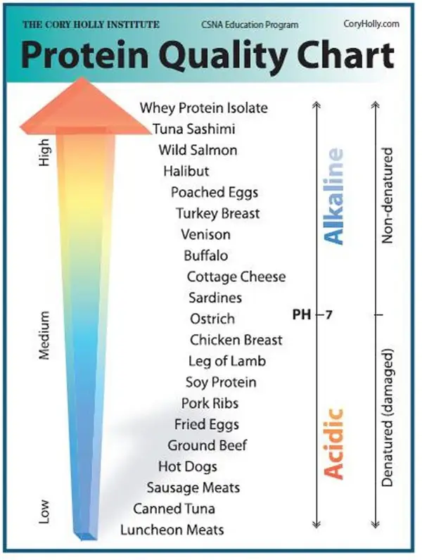 High Protein Levels in Blood