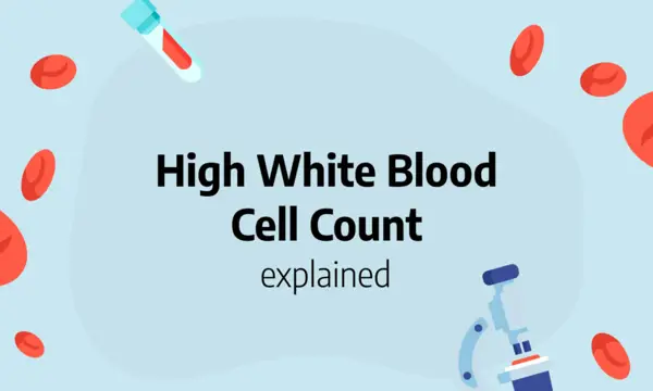 Implications of High Protein in Urine and High White Blood Cell Count
