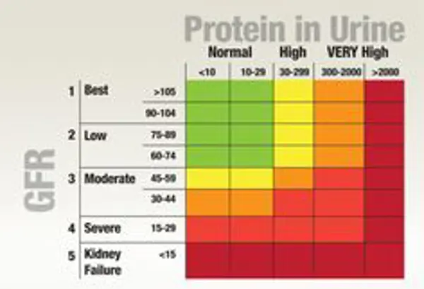Prevention of High Protein in Urine and High White Blood Cell Count