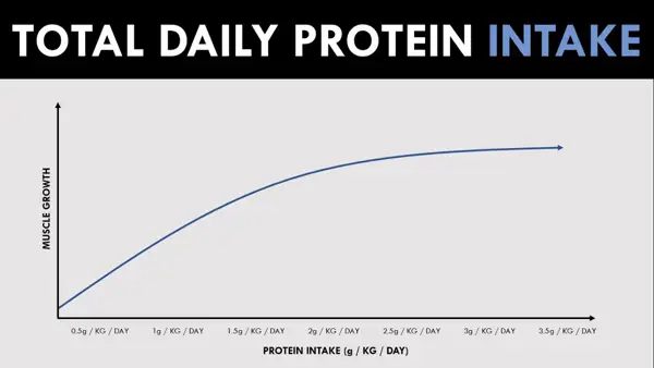 Tips for Incorporating Protein Into Your Diet