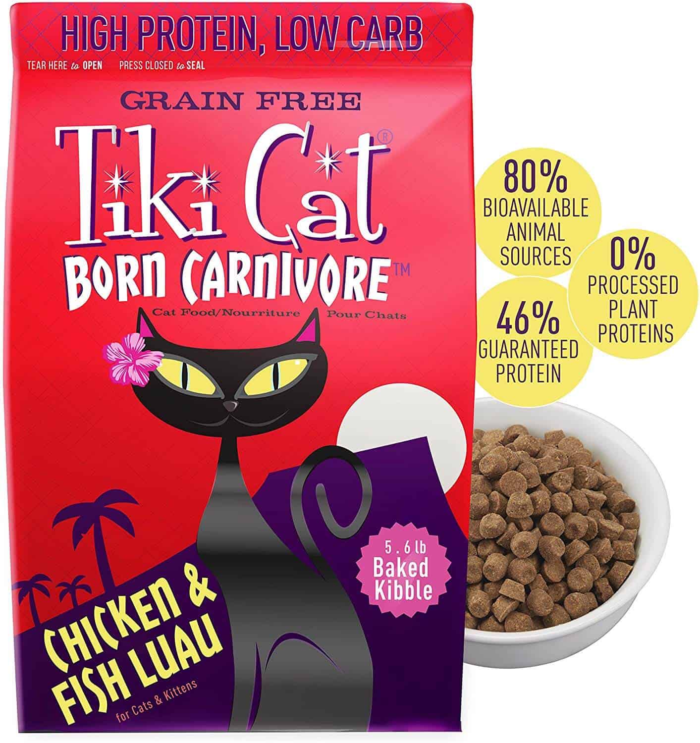 high protein in blood cat