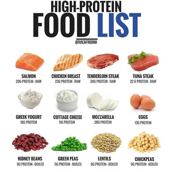 what does it mean when your protein is high in your blood