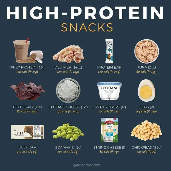 Benefits of Protein to Calorie Ratio Bar