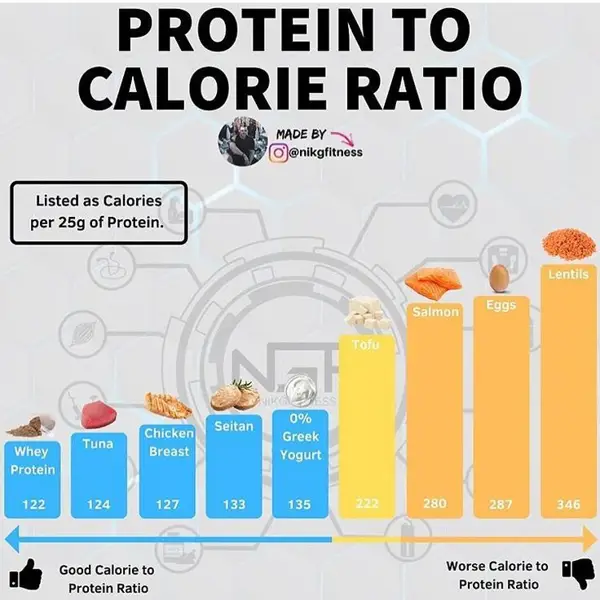 How to Choose the Best Protein to Calorie Ratio Bar