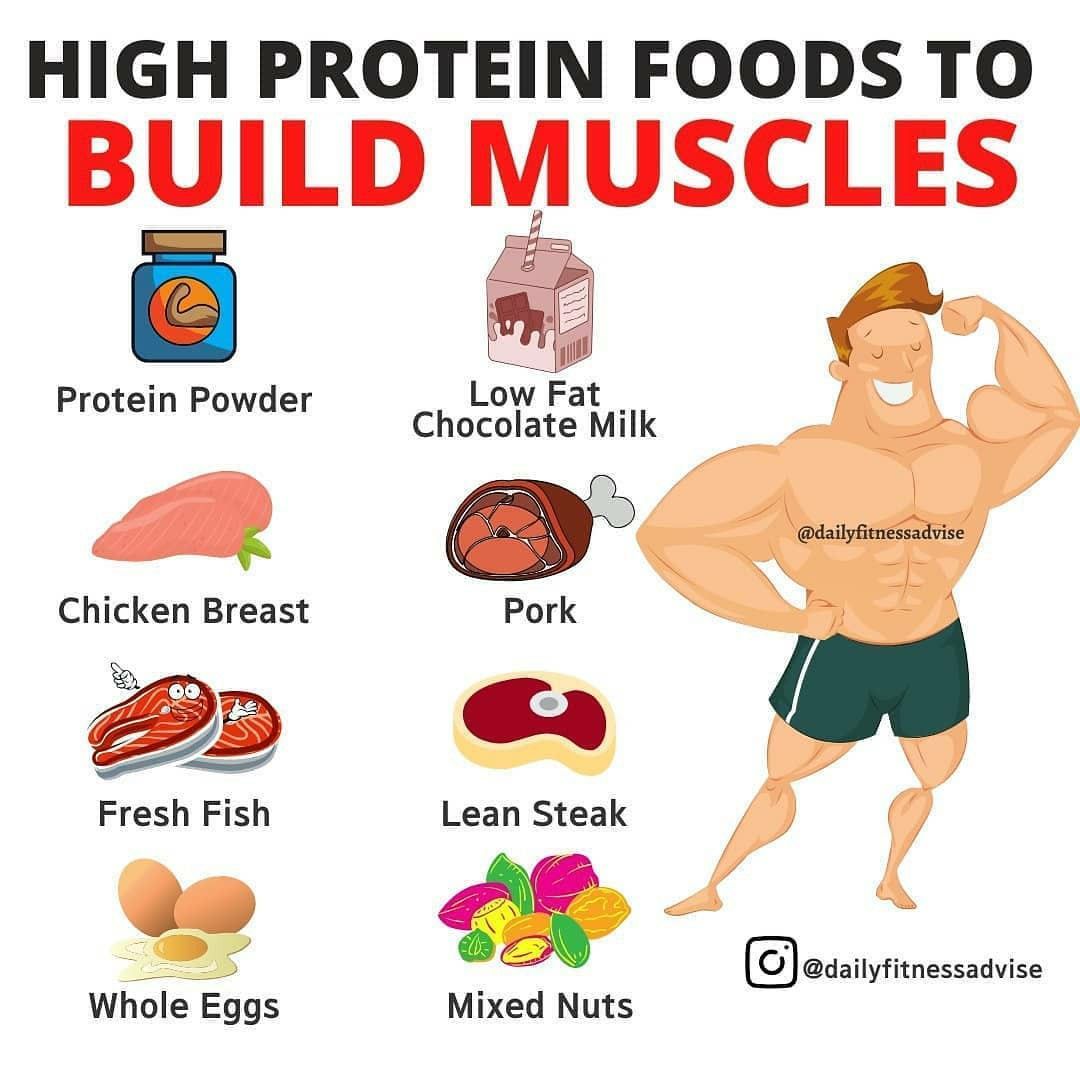 The Importance of Protein Quality