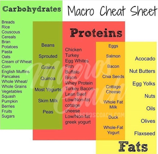 what food has protein and carbs but no fat