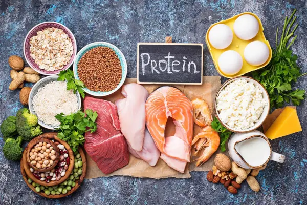 does protein make you eat more