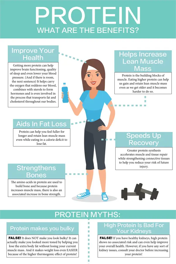 2. Benefits of Protein in Muscle Building