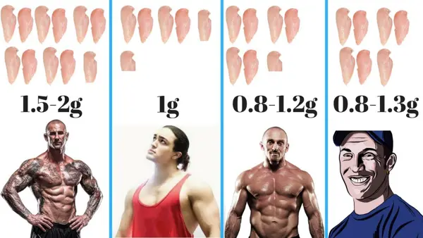 6. Importance of Protein Timing