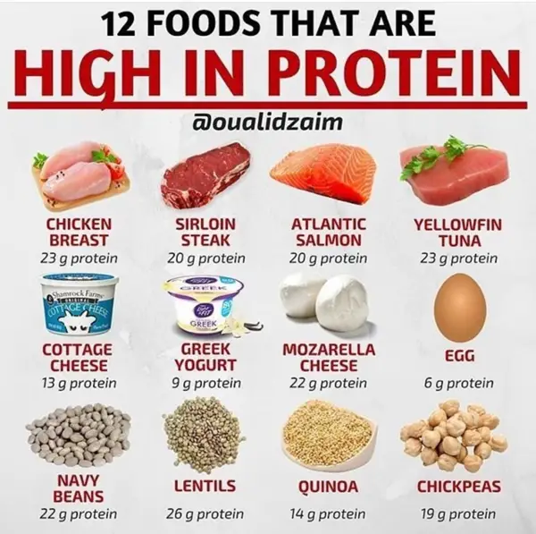 Protein-Rich Recipes