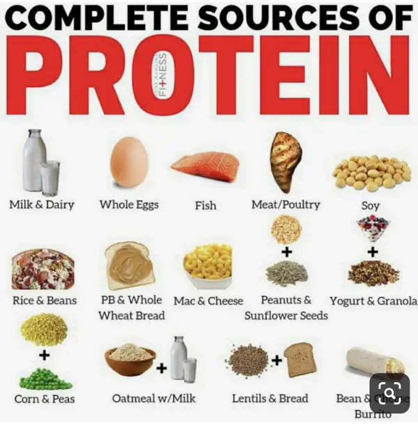 which of the following foods is not considered a complete protein