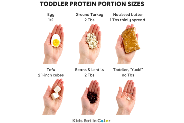 how much protein does a 1 year old need