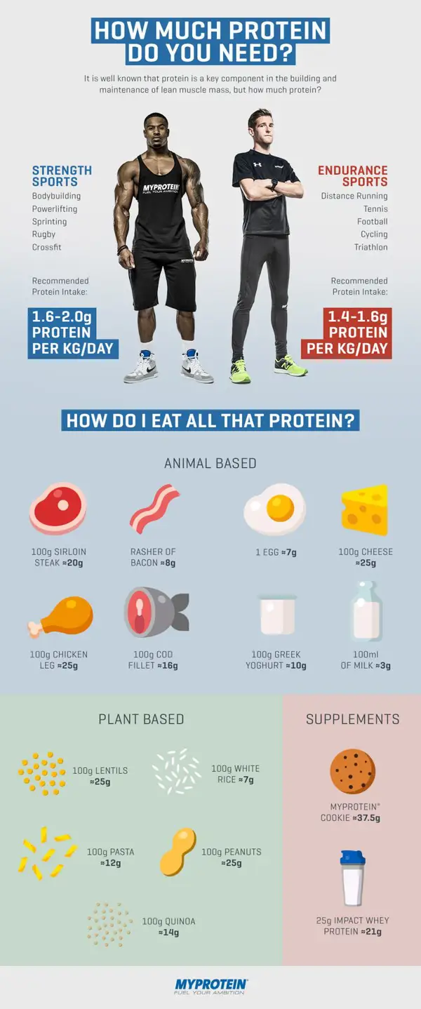 how much protein does a 300 pound man need per day