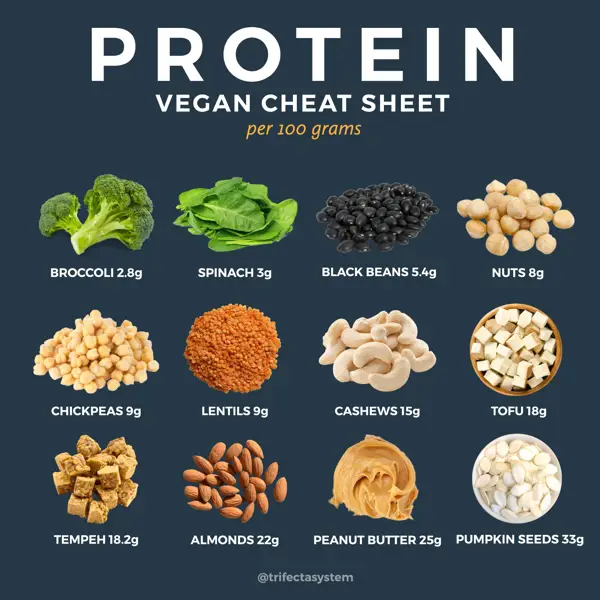 protein rich low carb vegetarian meals