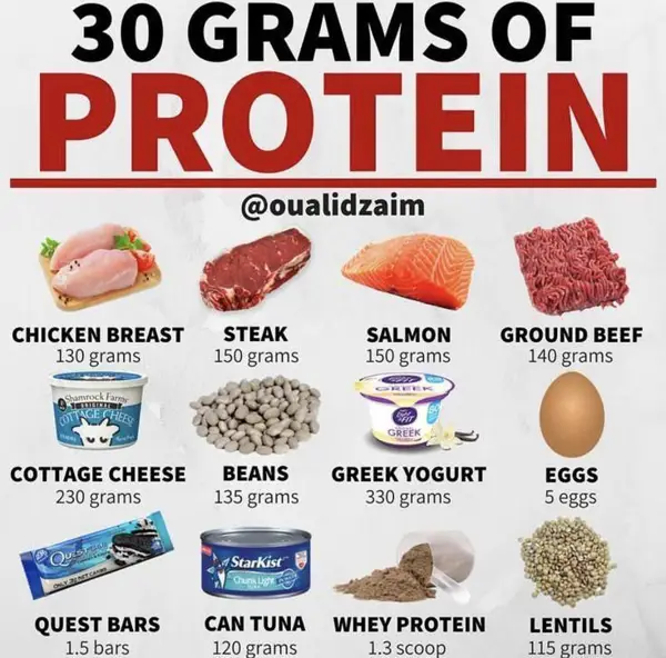 Benefits of Protein for Muscle Building