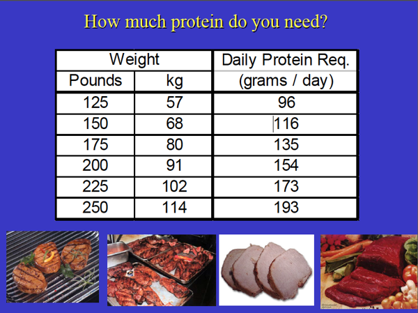 Timing of Protein Intake