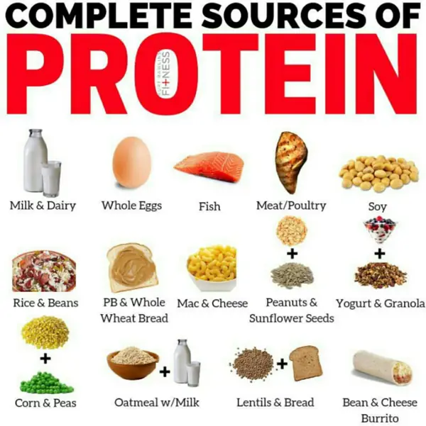 Benefits of Complementary Protein Nutrition