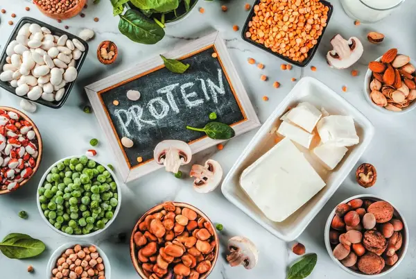 Definition of Complementary Protein Nutrition