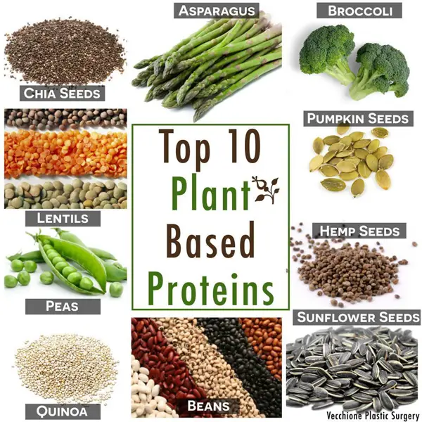 Delicious Plant-Based Protein Recipes
