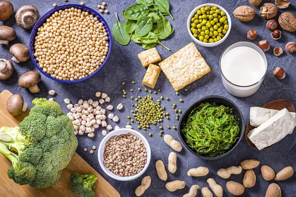 Sources of Plant-Based Protein in Nigeria