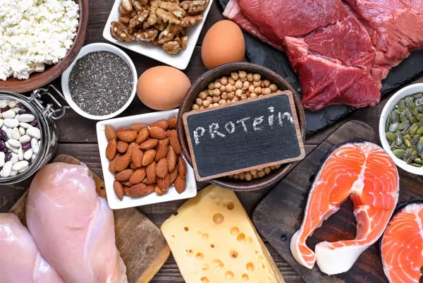 is vega protein safe during pregnancy