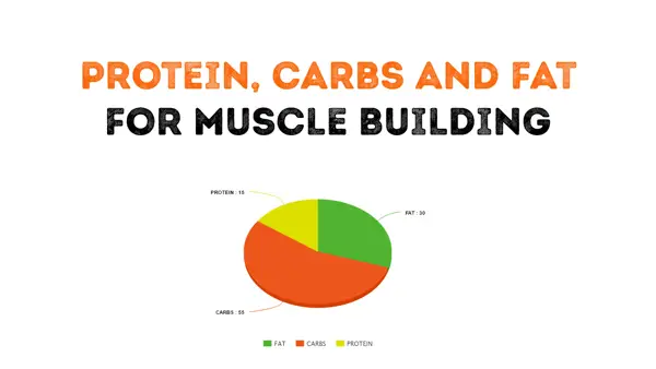 Busting the Carb vs Protein Myth: