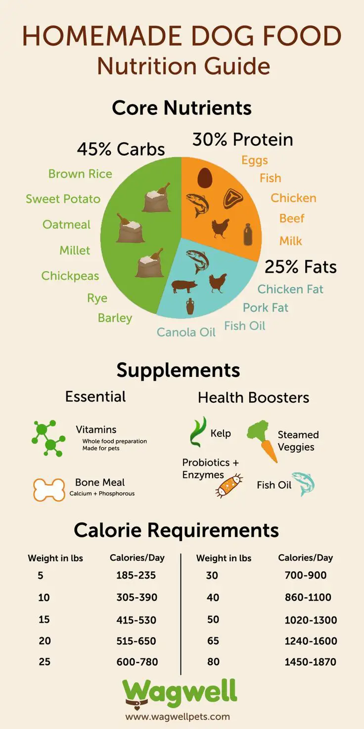5. Benefits of a High Protein Diet