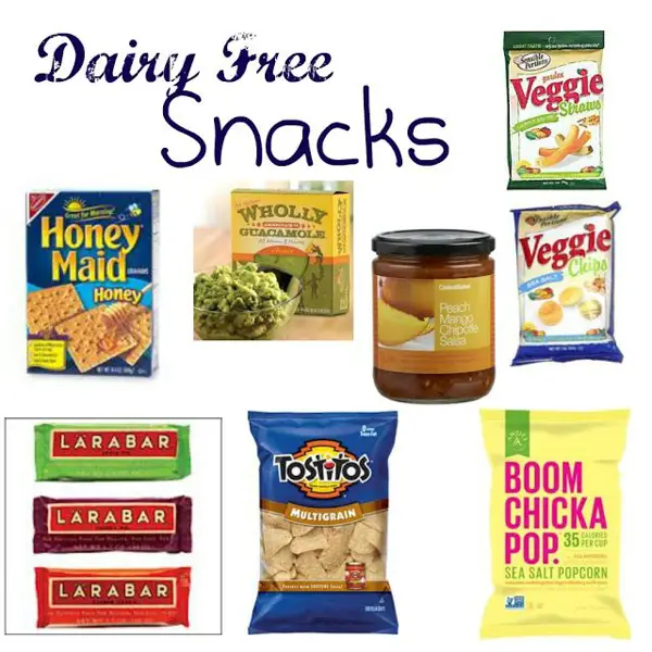 non dairy protein snacks for toddlers