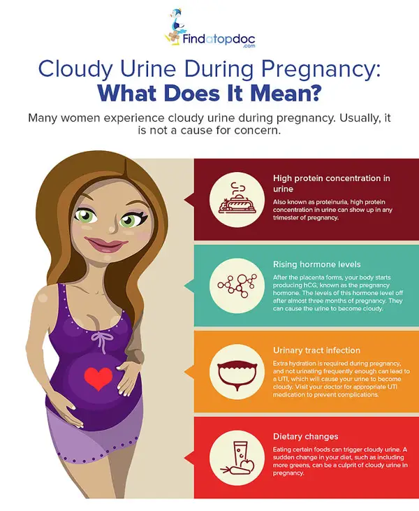 what does it mean when you have protein in your urine while pregnant