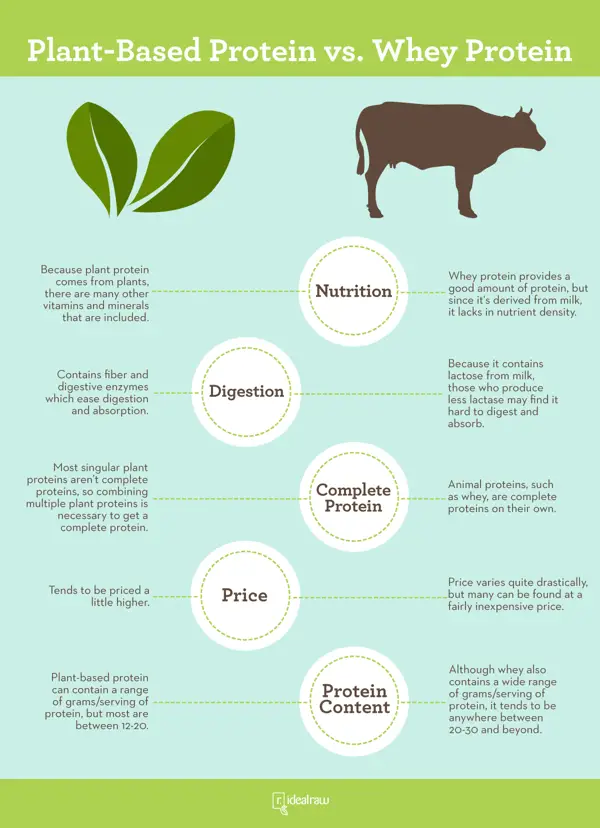 Benefits of Vegan Protein