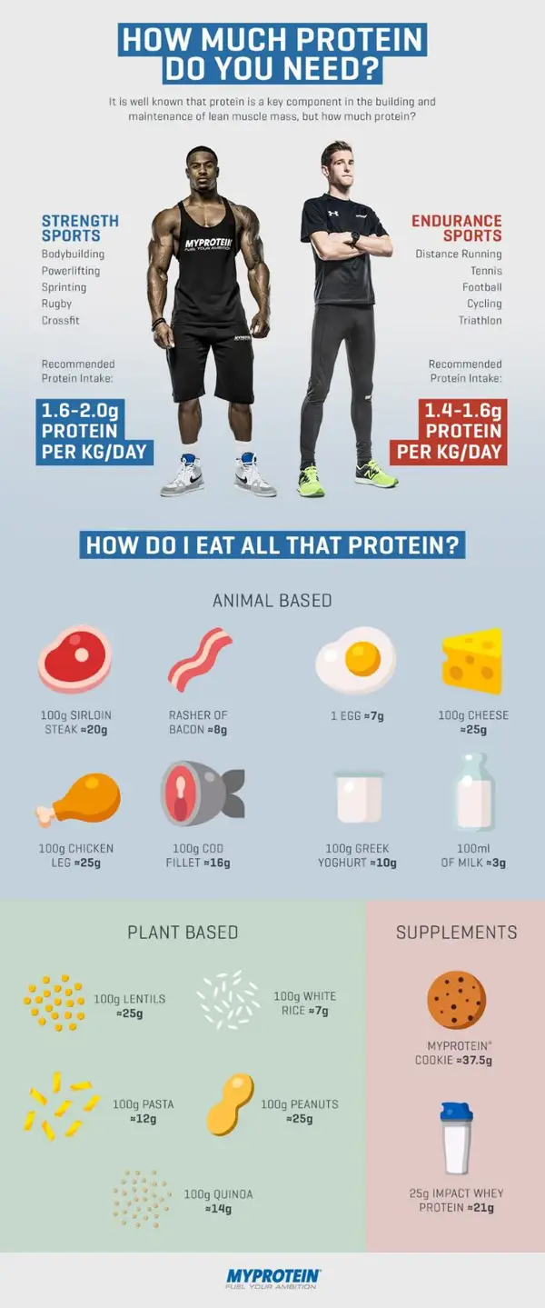 3. Calculating Protein Intake