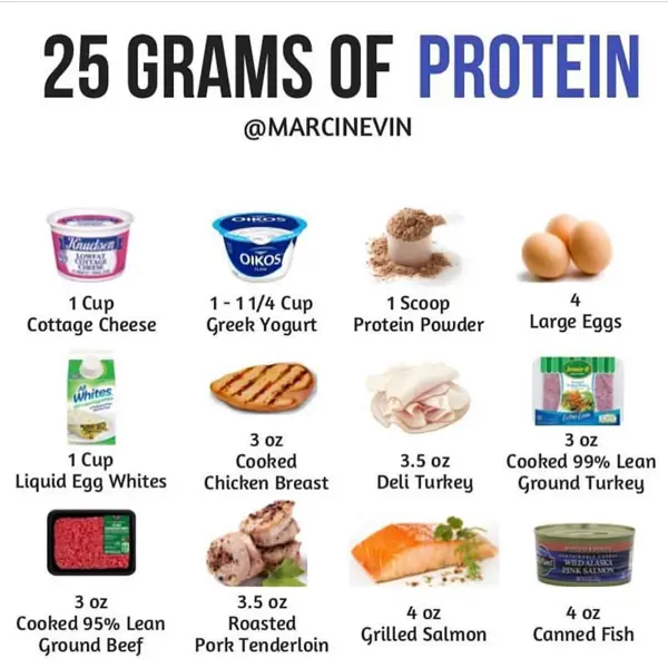 4. Sources of Protein