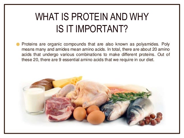 6. Protein as a Nutrient