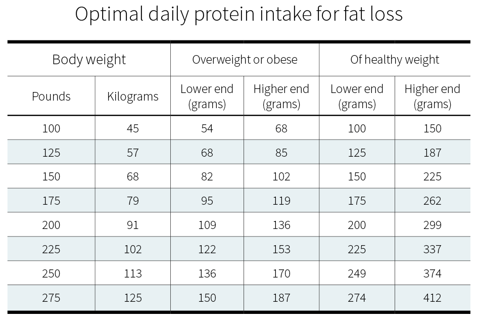 Benefits of Sufficient Protein Intake