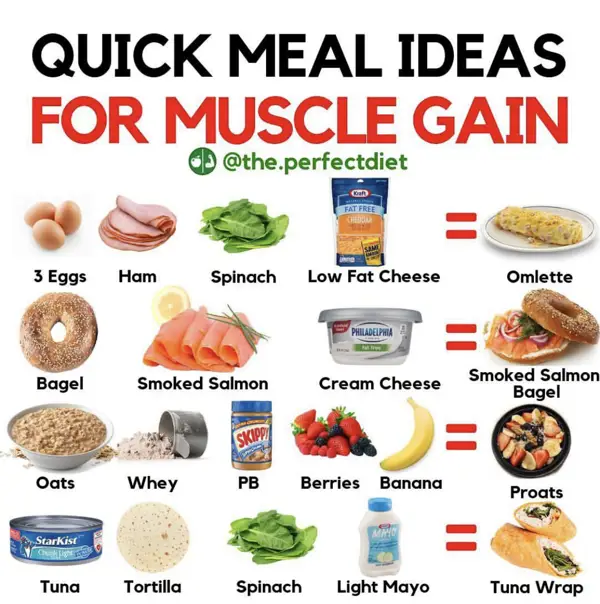 Benefits of a Protein Diet