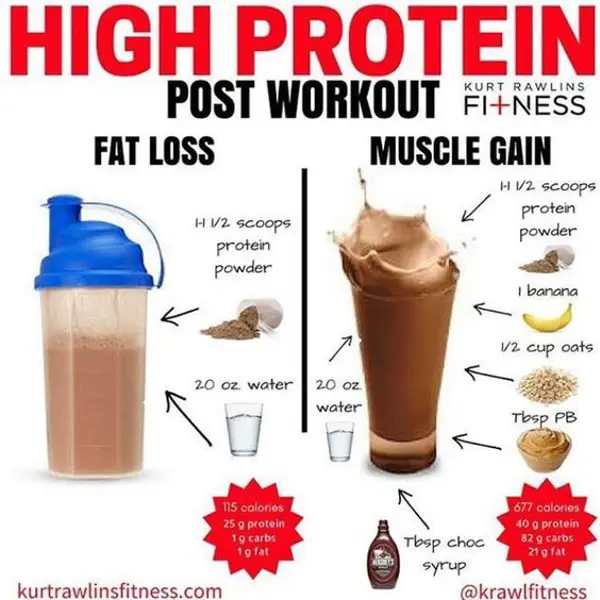 Effects of Protein on Weight Loss