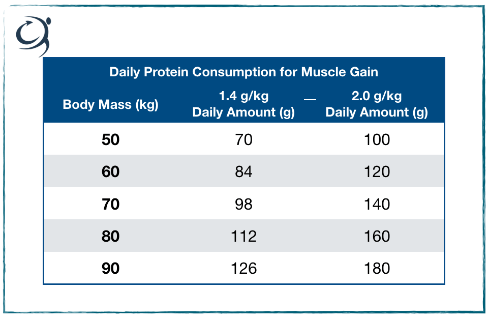 High Protein Food Sources