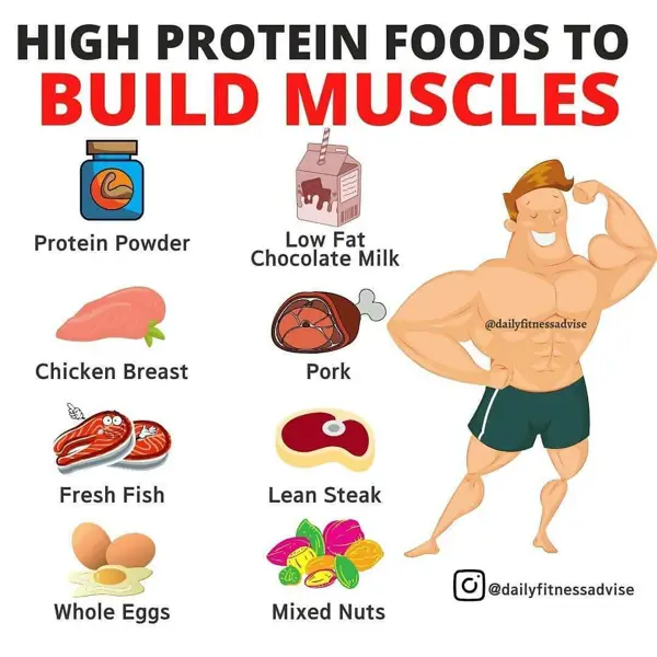 Myths About Protein Diet and Weight Gain