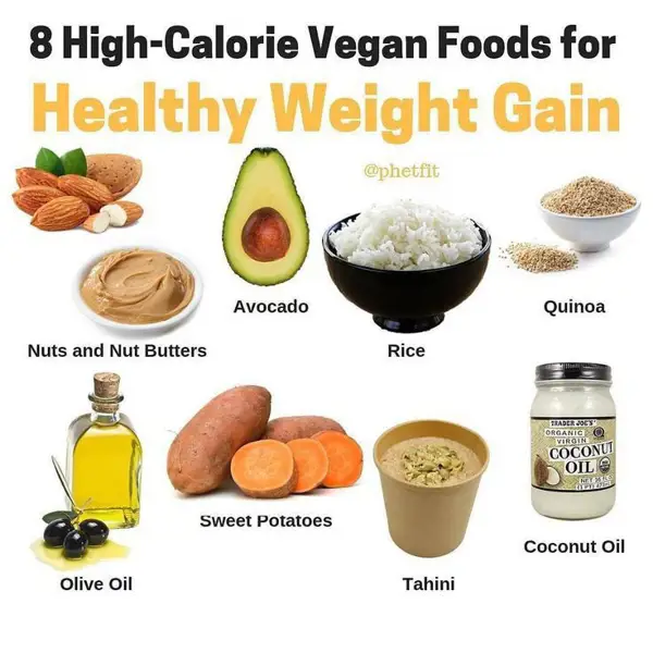 Organic Protein and Weight Gain