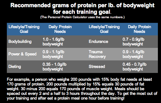 Protein Requirements for Muscle Gain