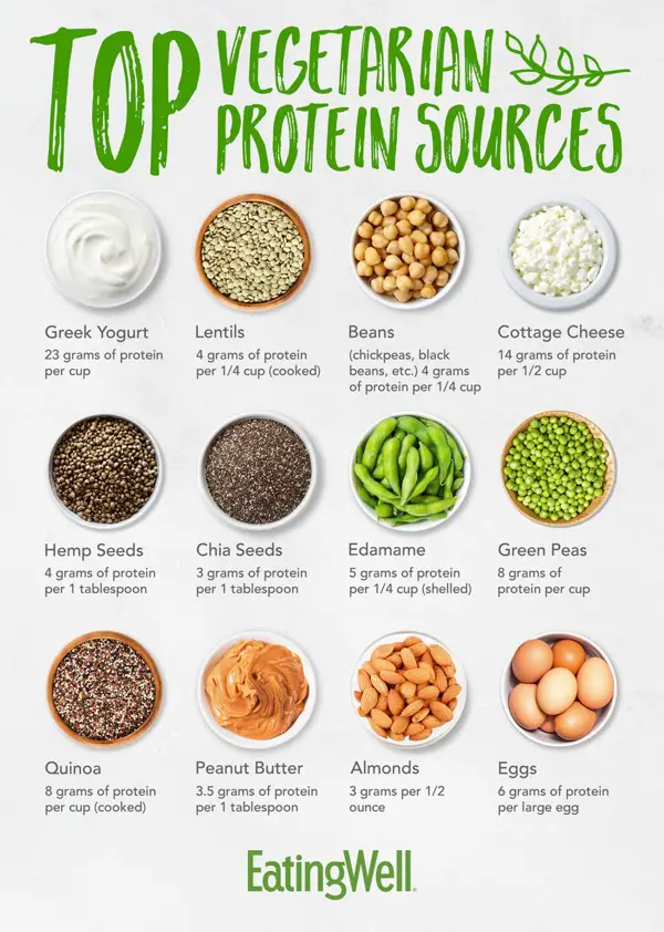 Sources of Protein for Vegetarians