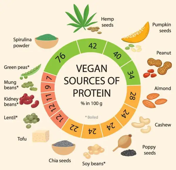 Supplements for Vegetarian Weight Gain