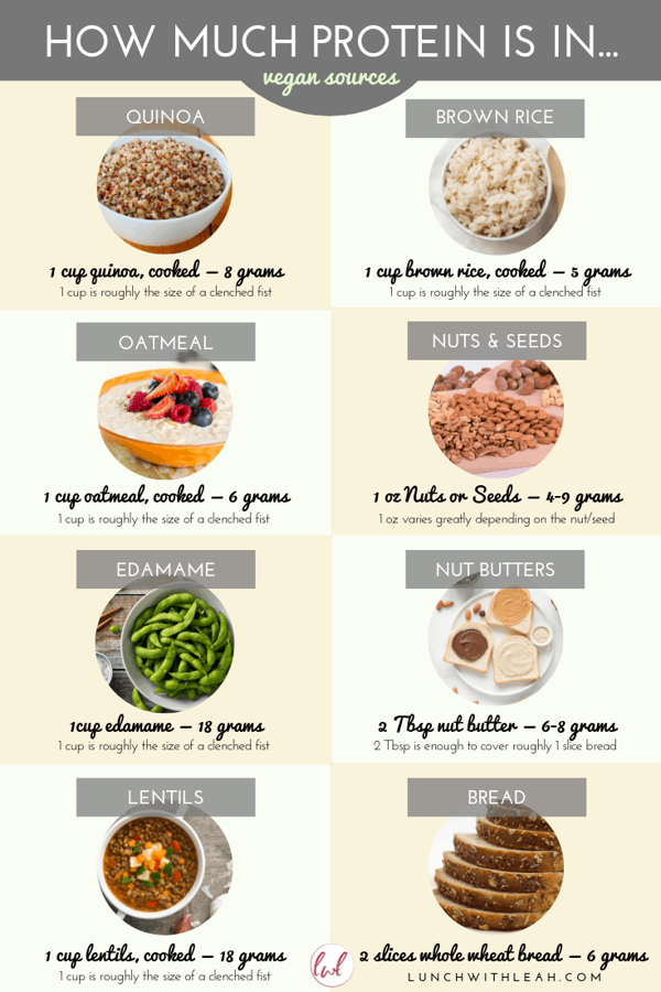Tips for Increasing Protein Intake