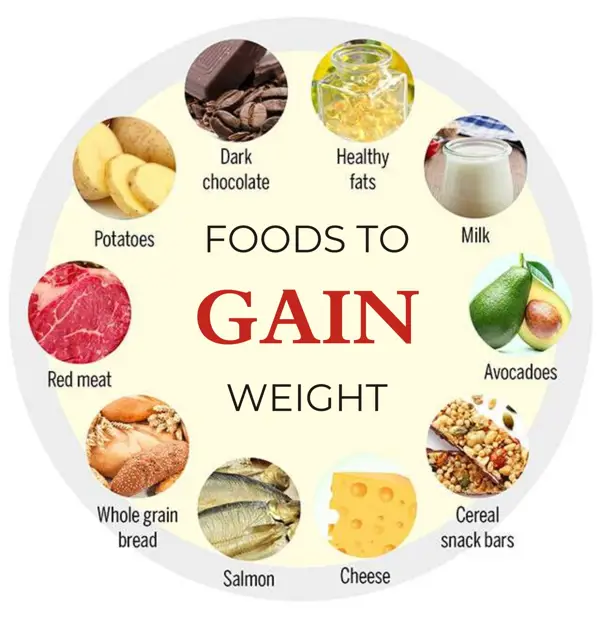 high protein vegetarian diet for weight gain