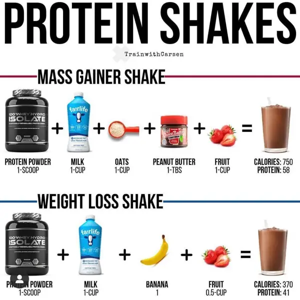 how to make protein powder at home for weight gain