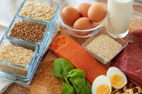 protein rich foods for weight loss and muscle gain